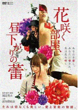 乘风破浪